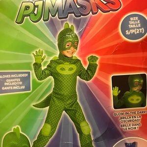 Gekko Costume Never Worn